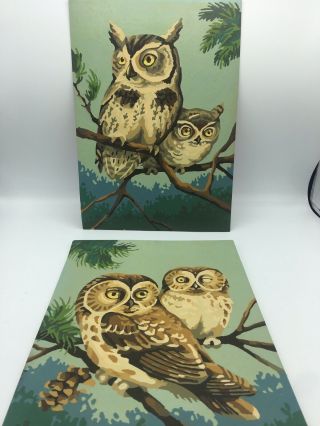 Vintage Paint By Number Owls Pair 10x14 Mid Century Mcm Collectable