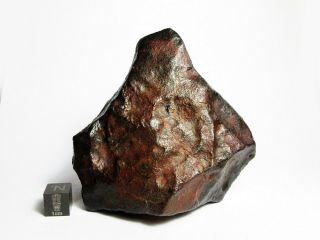 Nwa X Meteorite 332.  66g Beautifully Regmaglypted Space Rock