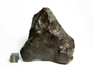 NWA x Meteorite 332.  66g Beautifully Regmaglypted Space Rock 2
