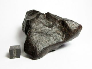 NWA x Meteorite 332.  66g Beautifully Regmaglypted Space Rock 4