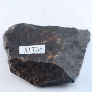140g Rare chondrite meteorite crust Meteorit Chondrit QL A1755 5
