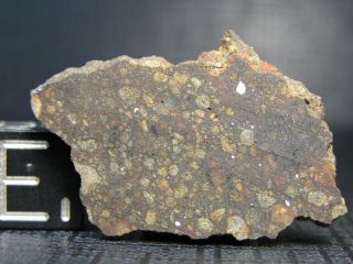 NWA 10214 Official Meteorite - LL3 - S2 - G596 - 0011 - 2.  77g - the CHIMERIC 2