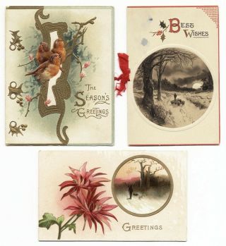 Tuck Christmas Birthday 3 Open Up Greeting Cards Edwardian Birds Snow Poinsettia