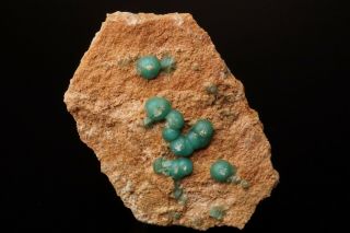 Unusual Carbonate Fluorapatite Crystal Twin Creeks Mine,  Nevada - Ex.  Jensen