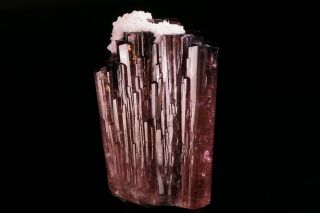 Rubellite Tourmaline Crystal MALKHAN PEGMATITE,  RUSSIA 10