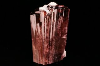Rubellite Tourmaline Crystal MALKHAN PEGMATITE,  RUSSIA 2