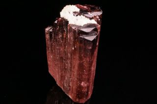 Rubellite Tourmaline Crystal MALKHAN PEGMATITE,  RUSSIA 5