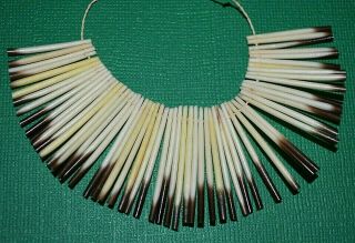 South American Real Porcupine Quills Tribally Trimmed & Pierced Beads / Pendants