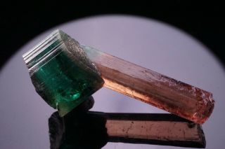 UNIQUE GEM Bi - Color Tourmaline Crystal CRUZEIRO,  BRAZIL 10
