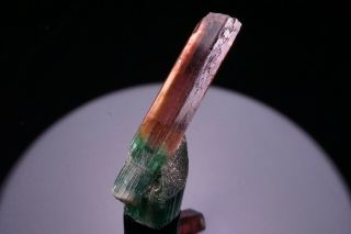 UNIQUE GEM Bi - Color Tourmaline Crystal CRUZEIRO,  BRAZIL 2