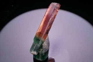 UNIQUE GEM Bi - Color Tourmaline Crystal CRUZEIRO,  BRAZIL 4