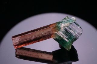 UNIQUE GEM Bi - Color Tourmaline Crystal CRUZEIRO,  BRAZIL 5
