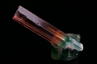 UNIQUE GEM Bi - Color Tourmaline Crystal CRUZEIRO,  BRAZIL 6