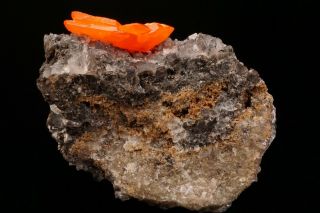 CLASSIC Wulfenite Crystal RED CLOUD MINE,  ARIZONA 10