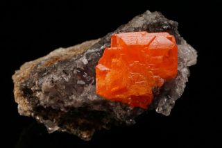 CLASSIC Wulfenite Crystal RED CLOUD MINE,  ARIZONA 3