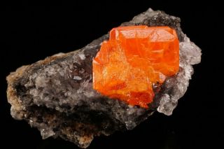 CLASSIC Wulfenite Crystal RED CLOUD MINE,  ARIZONA 4