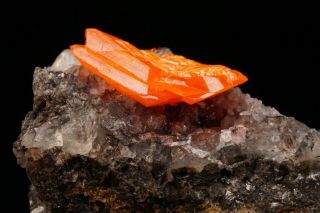 CLASSIC Wulfenite Crystal RED CLOUD MINE,  ARIZONA 5
