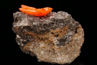 CLASSIC Wulfenite Crystal RED CLOUD MINE,  ARIZONA 6