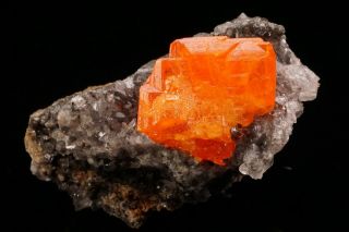 CLASSIC Wulfenite Crystal RED CLOUD MINE,  ARIZONA 7