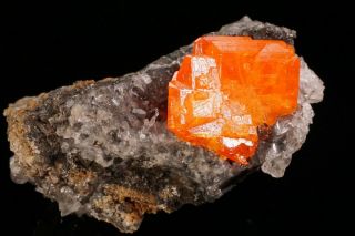 CLASSIC Wulfenite Crystal RED CLOUD MINE,  ARIZONA 9