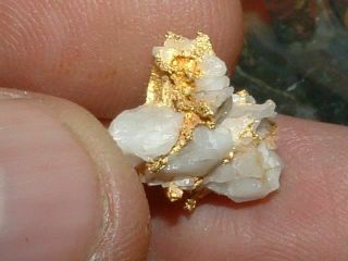 California Gold Quartz Specimen Natural Gold Nugget 1.  9 Grams Gold In Quartz
