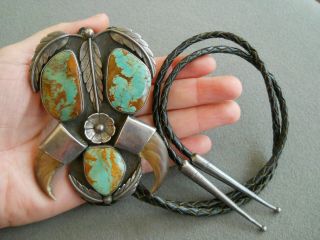 Native American Manassa Turquoise Faux Claws Sterling Silver Bolo Tie Bh Adp