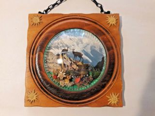 Real Pressed Edelweiss In Glass Bubble Frame Hand Carved Wood Swiss Alps