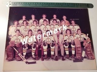 1973 Cape Cod Cubs Official Team Photo Nahl Vintage Hockey