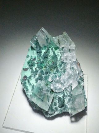 Stunning - Green Malachite & Calcite Crystals On Cuprite,  Ojuela Mine Mexico