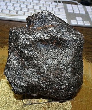 2802 Gm.  Campo Del Cielo Iron Meteorite ; A Grade 6.  2 Pounds;