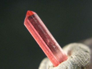 Extremely Rare Gem Vayrynenite Crystal From Pakistan - 1.  1cm - 0.  55 Carats