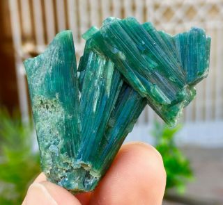 Wow 123 C.  T Top Class Terminated Indoculite Blue Tourmaline Crystal