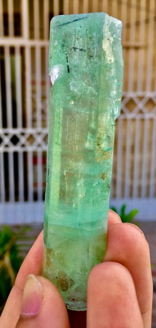 Wow 245 C.  T Top Quality Damage Terminated Green Beryl Aquamarine Crystal 2