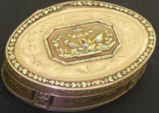 Jean - Georges Remond & Co.  18k 4 - Color Gold Swiss Floral Snuff - Box Ca.  1820