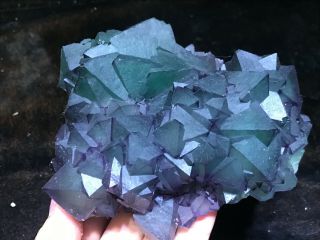 1.  6LB Purple and Green Octahedral Fluorite cluster on Quartz Matrix China 3