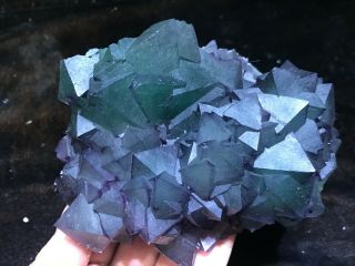 1.  6LB Purple and Green Octahedral Fluorite cluster on Quartz Matrix China 4