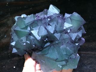 1.  6LB Purple and Green Octahedral Fluorite cluster on Quartz Matrix China 8