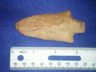 3 1/2 In.  Authentic Arrowhead,  - - Pickwick From Ga.