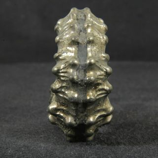 1.  6in (4cm) incredible shine pyrite Ammonite Kosmoceras Jurassic Callovian Russia 6