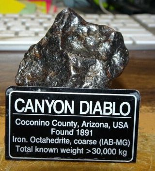 162 Gm.  Canyon Diablo Iron Meteorite ;museum Grade With Stand And Label.  4 Lbs