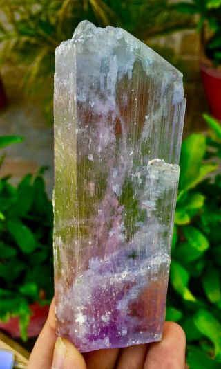 625 C.  T Top Quality Terminated Bi Color Kunzite Crystal @afghanistan
