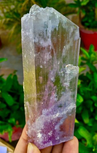 625 C.  T Top Quality Terminated Bi Color Kunzite Crystal @Afghanistan 3