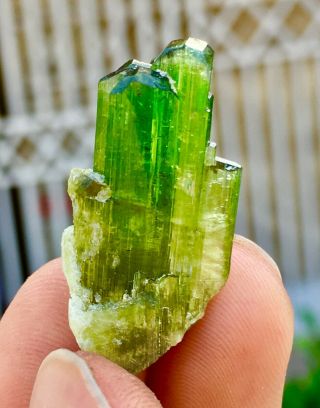 Wow 23 C.  T Top Class Damage Terminated Green Watermelon Tourmaline Crystal