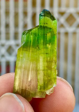 WoW 19 C.  T Top Class Damage Terminated Green Watermelon Tourmaline Crystal 3