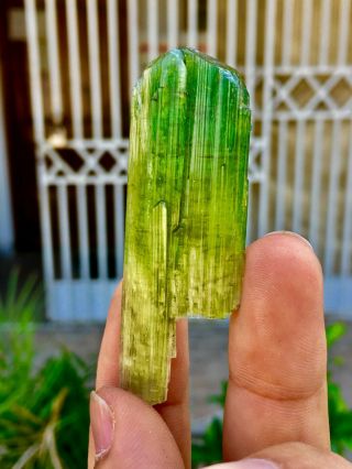 WoW 70 C.  T Top Class Damage Terminated Green Watermelon Tourmaline Crystal 3