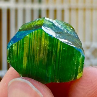 Wow 73 C.  T Top Class Terminated Green Watermelon Tourmaline Crystal