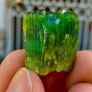 WoW 32 C.  T Top Class Terminated Green Watermelon Tourmaline Crystals Bunch 2