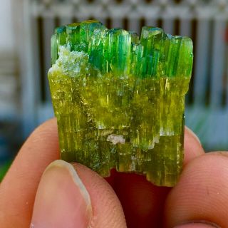 WoW 32 C.  T Top Class Terminated Green Watermelon Tourmaline Crystals Bunch 4