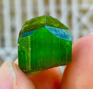 Wow 21 C.  T Top Class Damage Terminated Green Watermelon Tourmaline Crystal