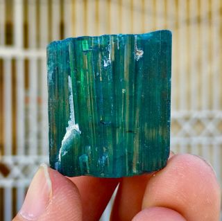 198 C.  T Top Quality Damage Terminated Indoculite Blue Tourmaline Crystal